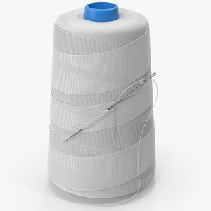 Thread And Needle 3D model