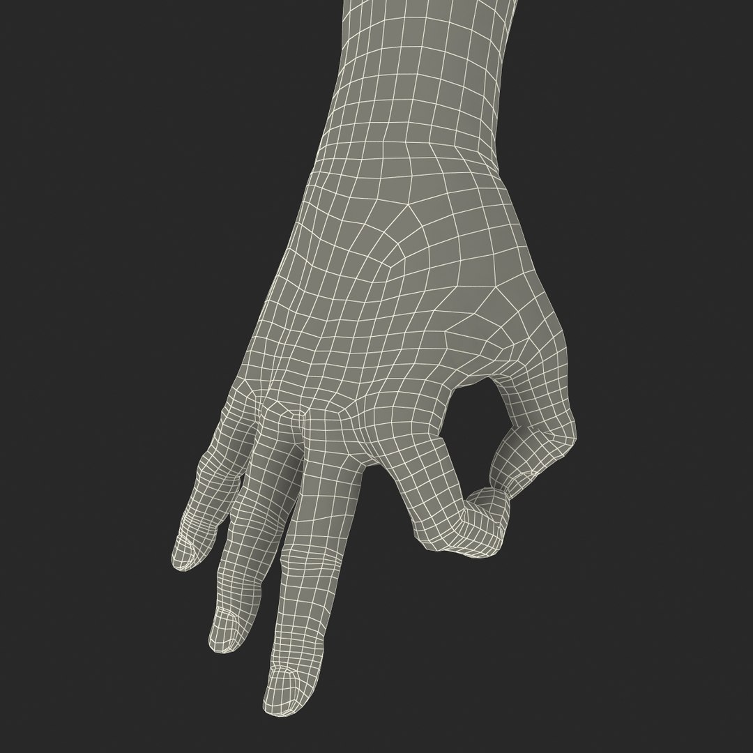 3d old man hands pose model