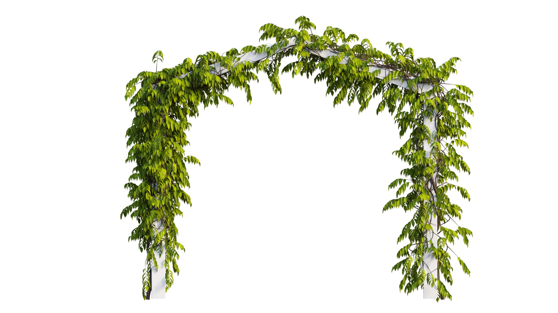 tree 09 3D model https://p.turbosquid.com/ts-thumb/gi/vOm6cf/bx/6_interactivelightmix/png/1607251433/1920x1080/fit_q87/9beb0adccde7fdf2b53ddff90e78c4a60b62df2e/6_interactivelightmix.jpg