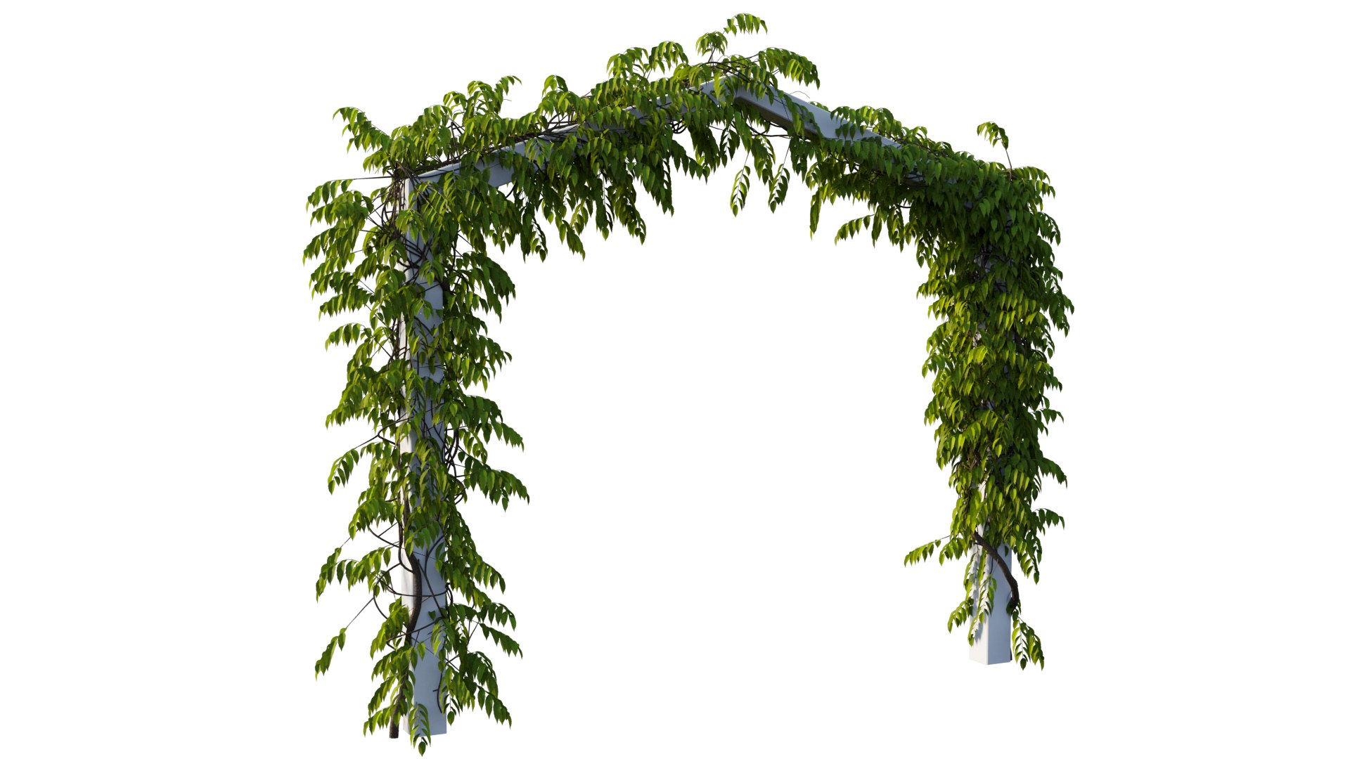 tree 09 3D model https://p.turbosquid.com/ts-thumb/gi/vOm6cf/kS/7_interactivelightmix/png/1607251432/1920x1080/fit_q87/a4649a6badb34867fc9c48e1f2718d051ffa63f5/7_interactivelightmix.jpg
