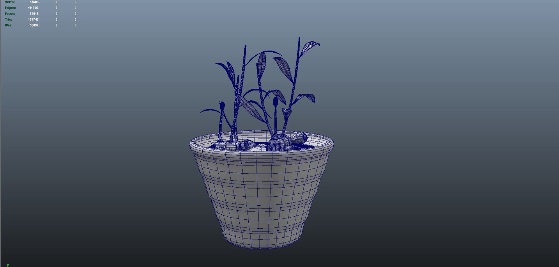 3d model of zingiber https://p.turbosquid.com/ts-thumb/gi/wSrjkT/L5dHH0Bh/b0278zingiber_meshmod01/jpg/1477045951/1920x1080/fit_q87/92b43f777622c5c59e5036b79b94593cad3c5235/b0278zingiber_meshmod01.jpg