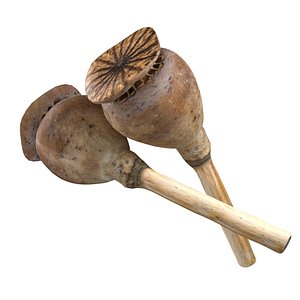 Dry poppy seed model