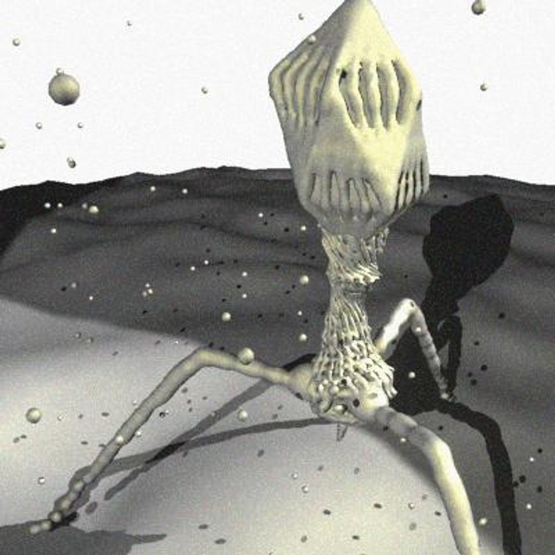 10 micro scenes 3d model https://p.turbosquid.com/ts-thumb/gj/2TqO4p/0YjD15qX/4/jpg/1281554919/1920x1080/fit_q87/295a42e1d3d6a29cb9085074864510d8aa6c2f98/4.jpg