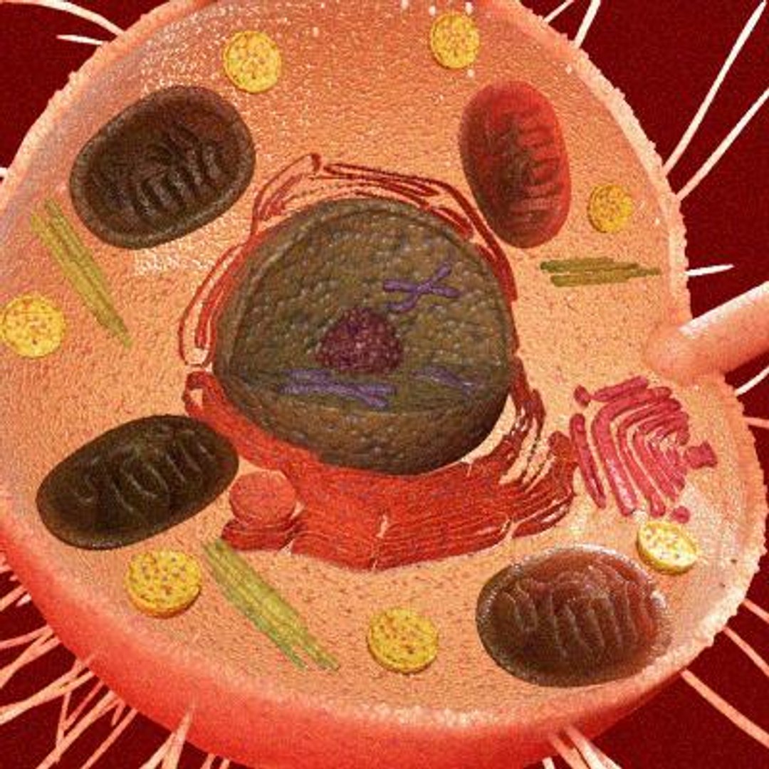10 micro scenes 3d model https://p.turbosquid.com/ts-thumb/gj/2TqO4p/AaXFgrkQ/2/jpg/1281554871/1920x1080/fit_q87/a1f091eca43b52d4f864ef816cea8a3a39893753/2.jpg