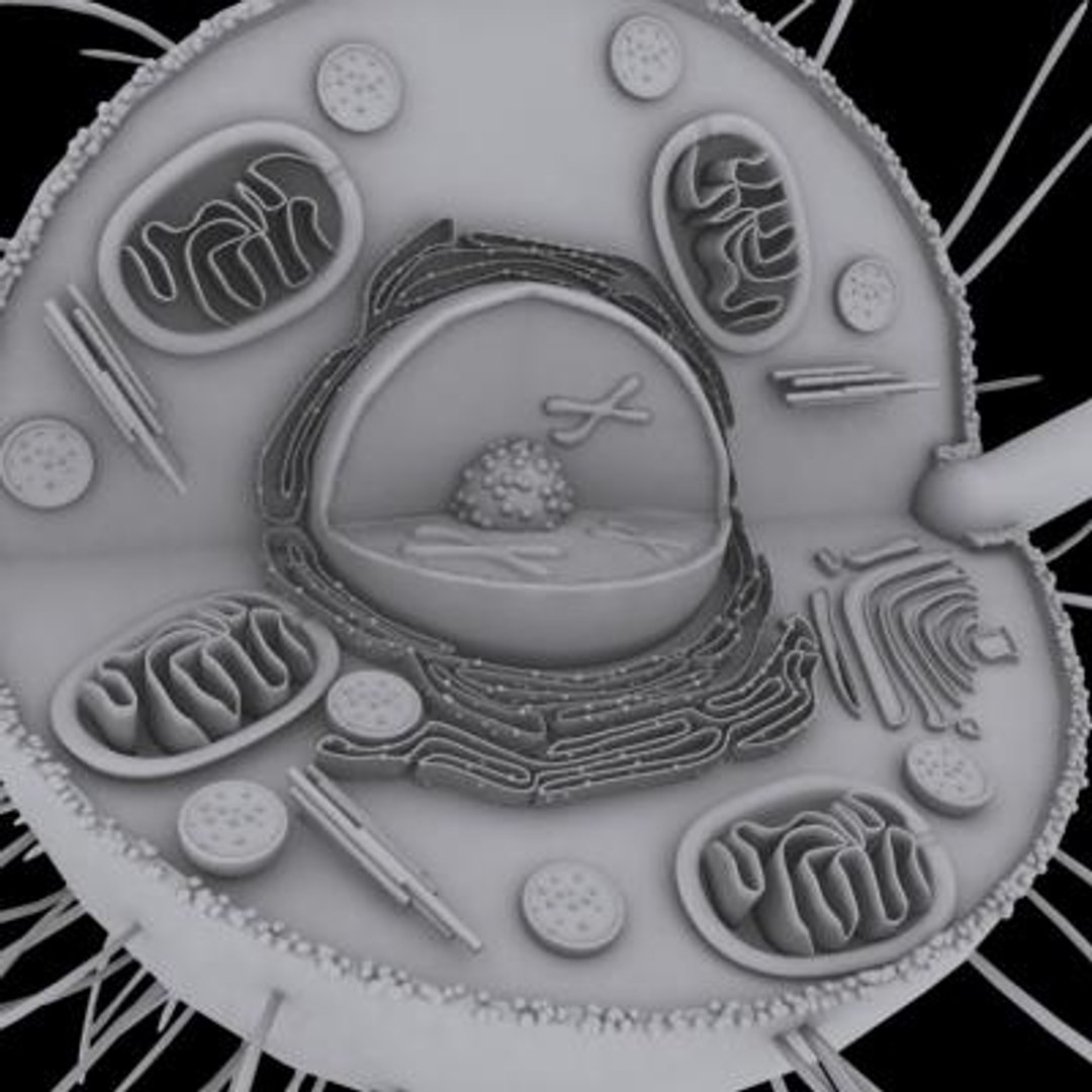 10 micro scenes 3d model https://p.turbosquid.com/ts-thumb/gj/2TqO4p/AfTO1a0K/5/jpg/1281554874/1920x1080/fit_q87/95449051e3eca23a59d5a61216bba33ecb854086/5.jpg