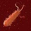 10 micro scènes