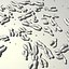 10 micro scènes