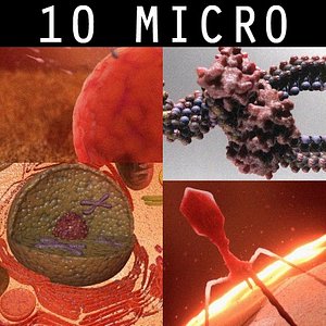10 Micro Scenes