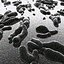 10 micro scènes