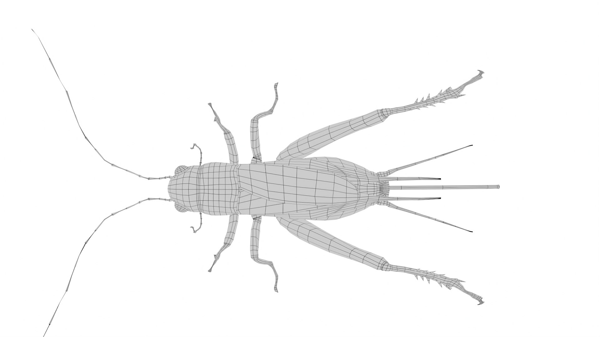 3D Cricket Model - TurboSquid 2409269