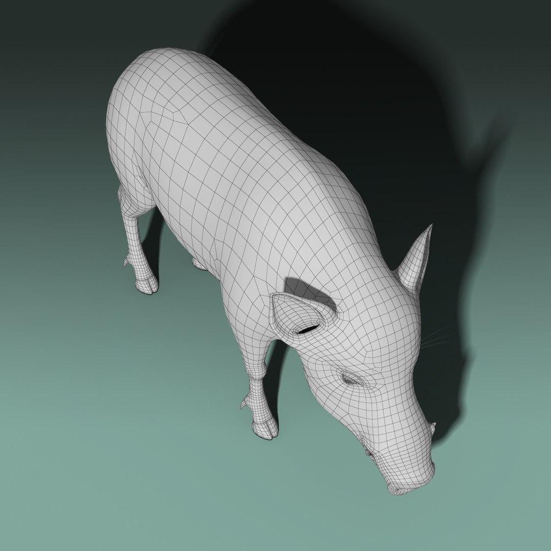3d wild boar