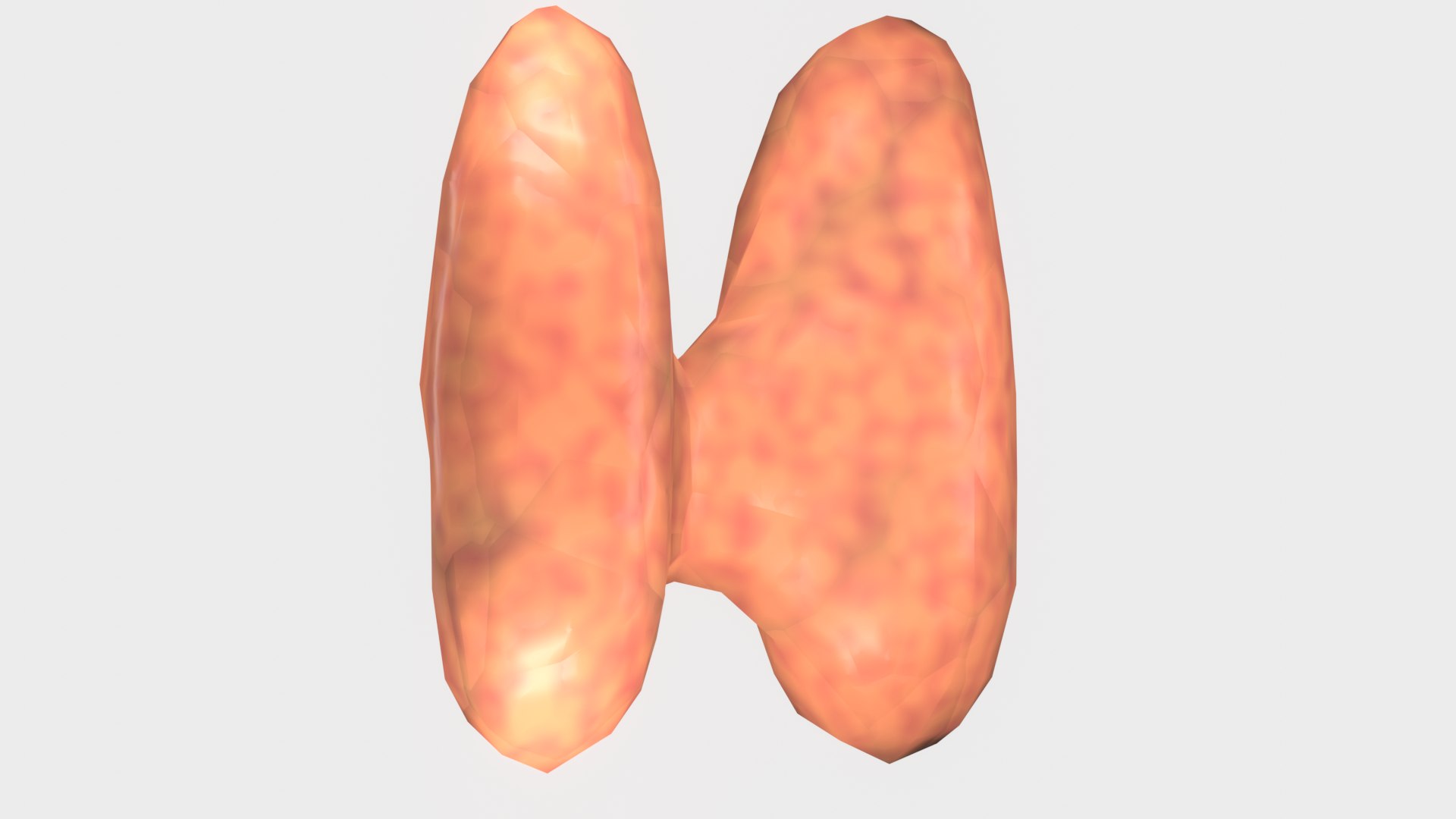 3D THYROID Model - TurboSquid 2109491