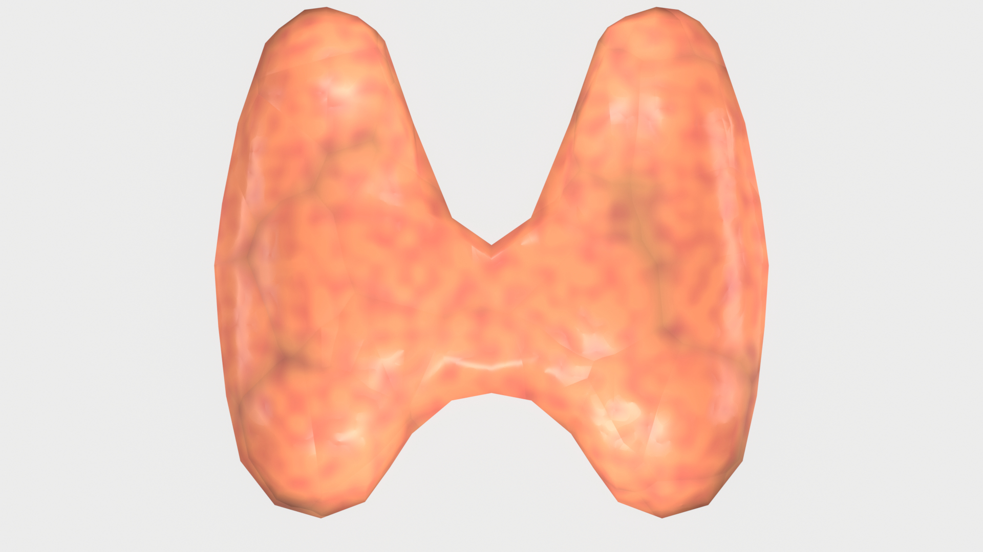 3D THYROID Model - TurboSquid 2109491