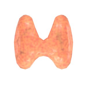 THYROID