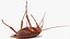 3D Animated Cockroach with Bait Collection for Cinema 4D model