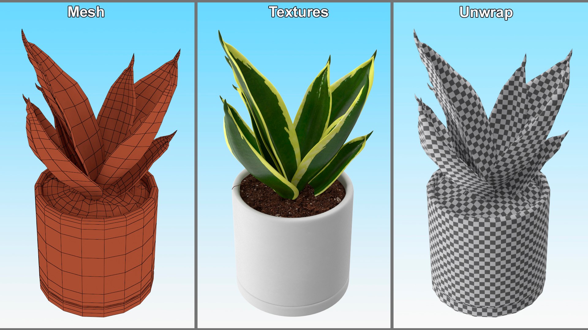 3D Vipers Bowstring Hemp Plant model https://p.turbosquid.com/ts-thumb/gj/HKoBWZ/9S/vipersbowstringhempplantmb3dmodel024/jpg/1693499328/1920x1080/fit_q87/e41ce503e32edcae685b0317f4e911b8582def68/vipersbowstringhempplantmb3dmodel024.jpg