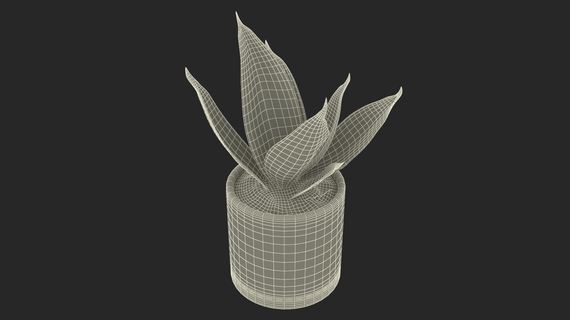 3D Vipers Bowstring Hemp Plant model https://p.turbosquid.com/ts-thumb/gj/HKoBWZ/VV/vipersbowstringhempplantmb3dmodel044/jpg/1693499411/1920x1080/fit_q87/89651f5c99770e454a93b92d175b919b50f1388b/vipersbowstringhempplantmb3dmodel044.jpg