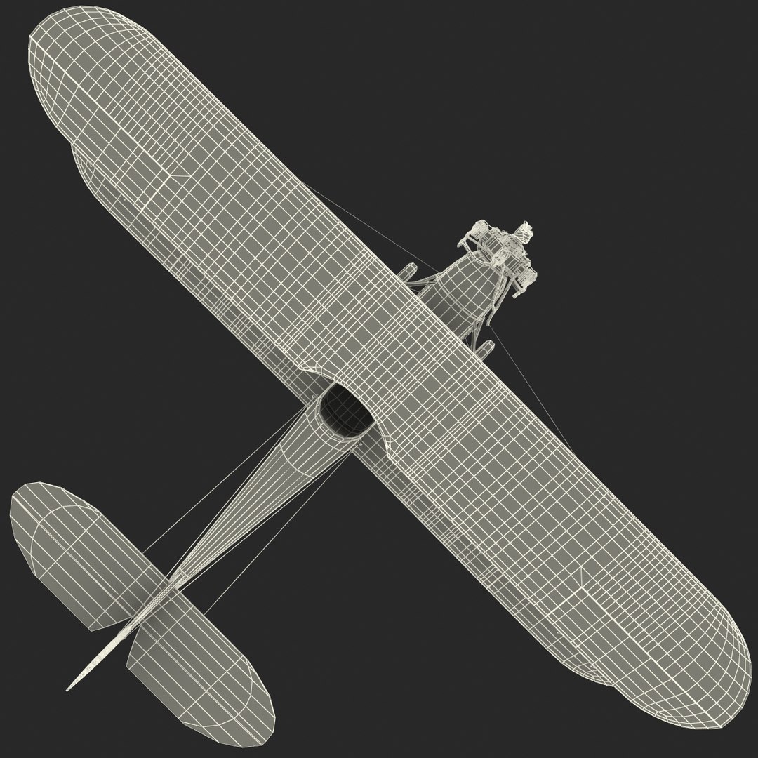 3d model realistic plane polikarpov po-2 https://p.turbosquid.com/ts-thumb/gj/HlbtYz/c21Orh0x/plane_polikarpov_po2_038/jpg/1333174822/1920x1080/fit_q87/cccedc681efeb92859de34e5f4d79121fe879369/plane_polikarpov_po2_038.jpg