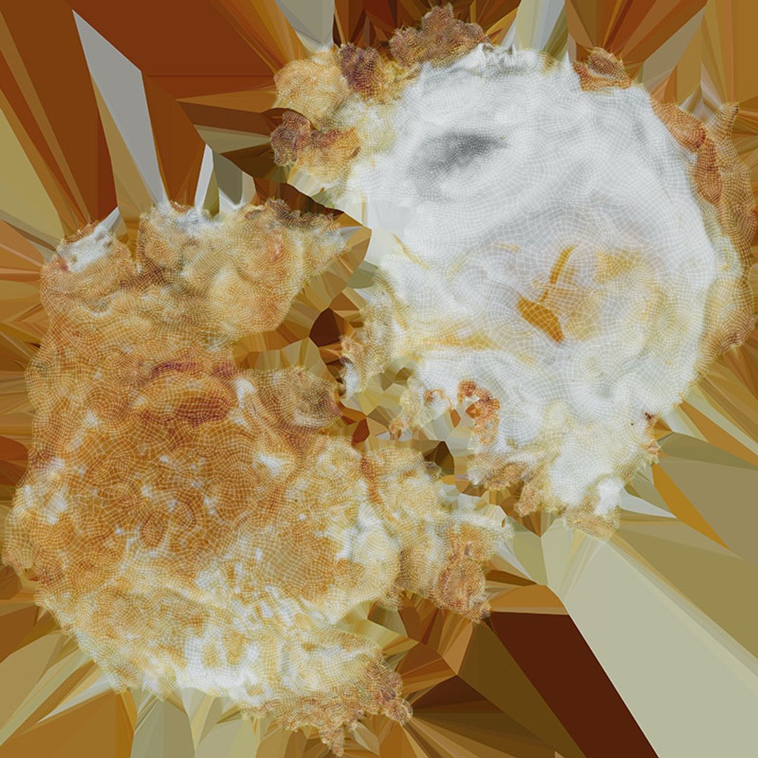 Fried Egg Collection model https://p.turbosquid.com/ts-thumb/gj/arbFst/Fk/friedegg01_d0004/jpg/1741007148/1920x1080/fit_q87/b1d1c15557e6263ecfba8ae84b0d280ee9e3fb10/friedegg01_d0004.jpg