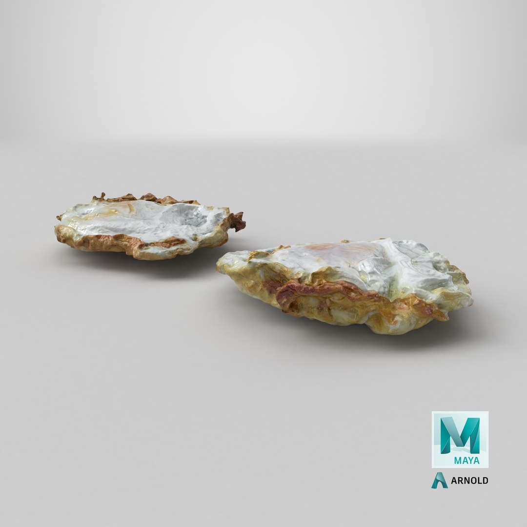 Fried Egg Collection model https://p.turbosquid.com/ts-thumb/gj/arbFst/WH/stemcell_maya_arnold_render/png/1741363794/1920x1080/fit_q87/7f978ce89bf4cb9c3af2b5ff39456b9d90272970/stemcell_maya_arnold_render.jpg
