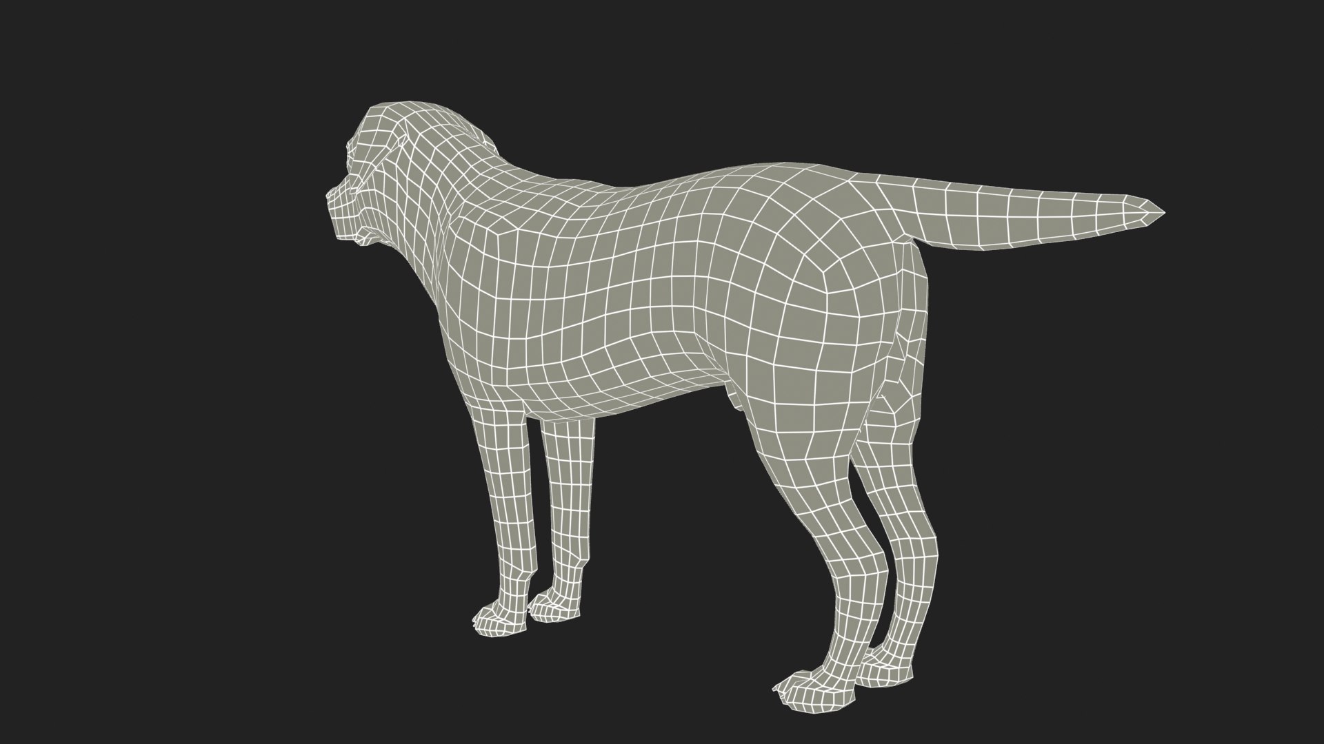 3D model Labrador - TurboSquid 2037610