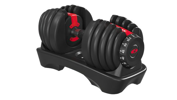 Bowflex Dumbbells 3D model - TurboSquid 1722969