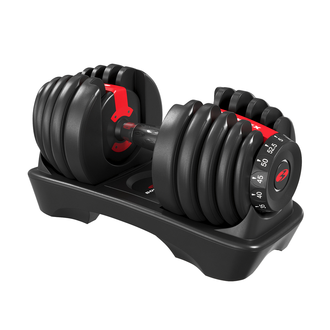 Bowflex Dumbbells 3D model - TurboSquid 1722969