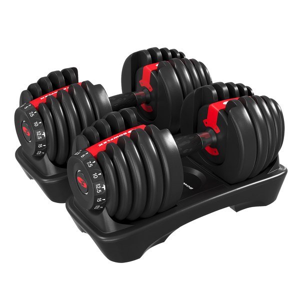 Bowflex Dumbbells 3D model - TurboSquid 1722969