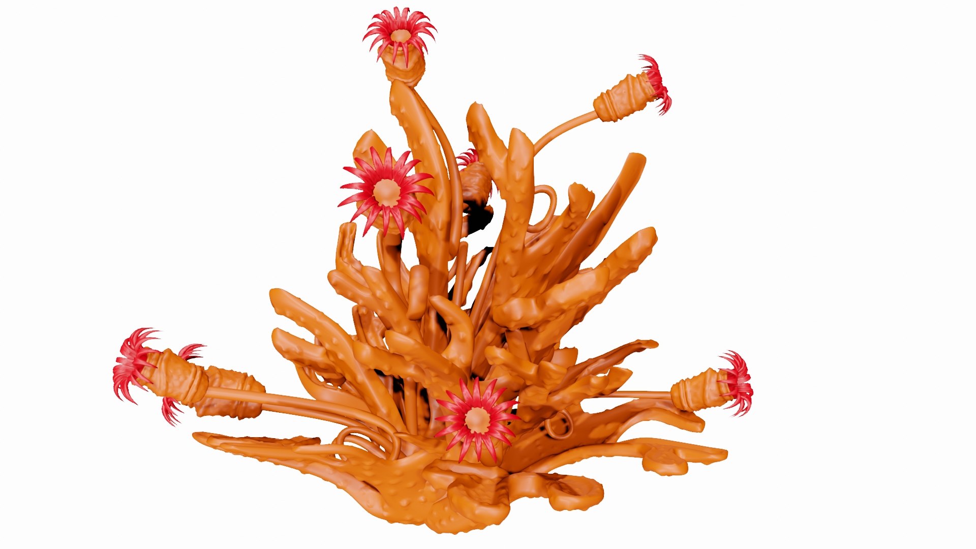 Orange Coral Reef with Red Flowers 3D model https://p.turbosquid.com/ts-thumb/gj/lxJmbv/DA/reef7/jpg/1638201891/1920x1080/fit_q87/b8e018e57dfcd7a49e8230535097713e115e2d92/reef7.jpg