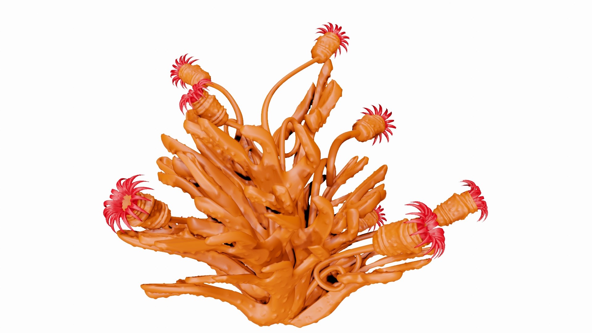 Orange Coral Reef with Red Flowers 3D model https://p.turbosquid.com/ts-thumb/gj/lxJmbv/s1/reef5/jpg/1638201862/1920x1080/fit_q87/c8a264d630f7faa249a1ddcead257635e2a34b84/reef5.jpg