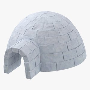3D igloo stemcell model