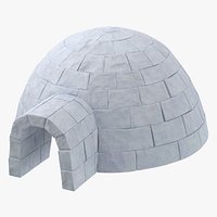 Igloo Stemcell