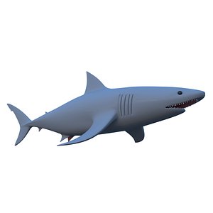 shark