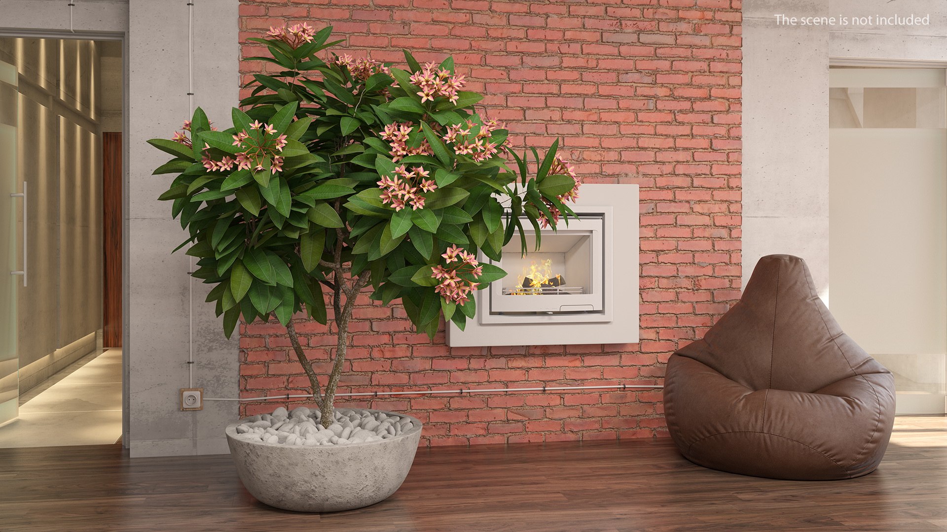 Flower Pot Plumeria Pink 3D model preview