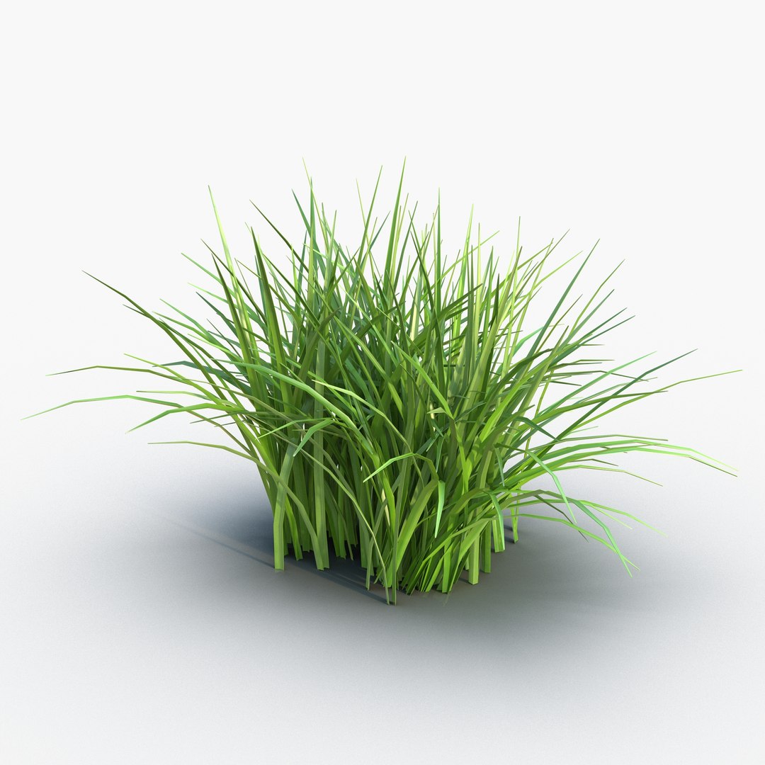 Grass 3D model preview