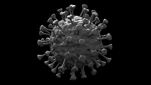carona virus 2020 3D model