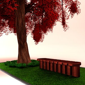 Weeping Japanese maple tree 1