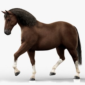 Horse 2026 Dark Brown RIG XGEN