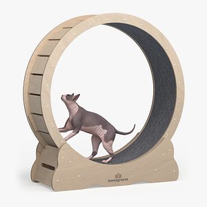 Wooden Exercise Wheel by Homegroove for Cat 3D model