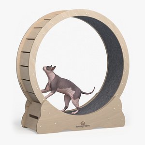 Wooden Exercise Wheel by Homegroove for Cat
