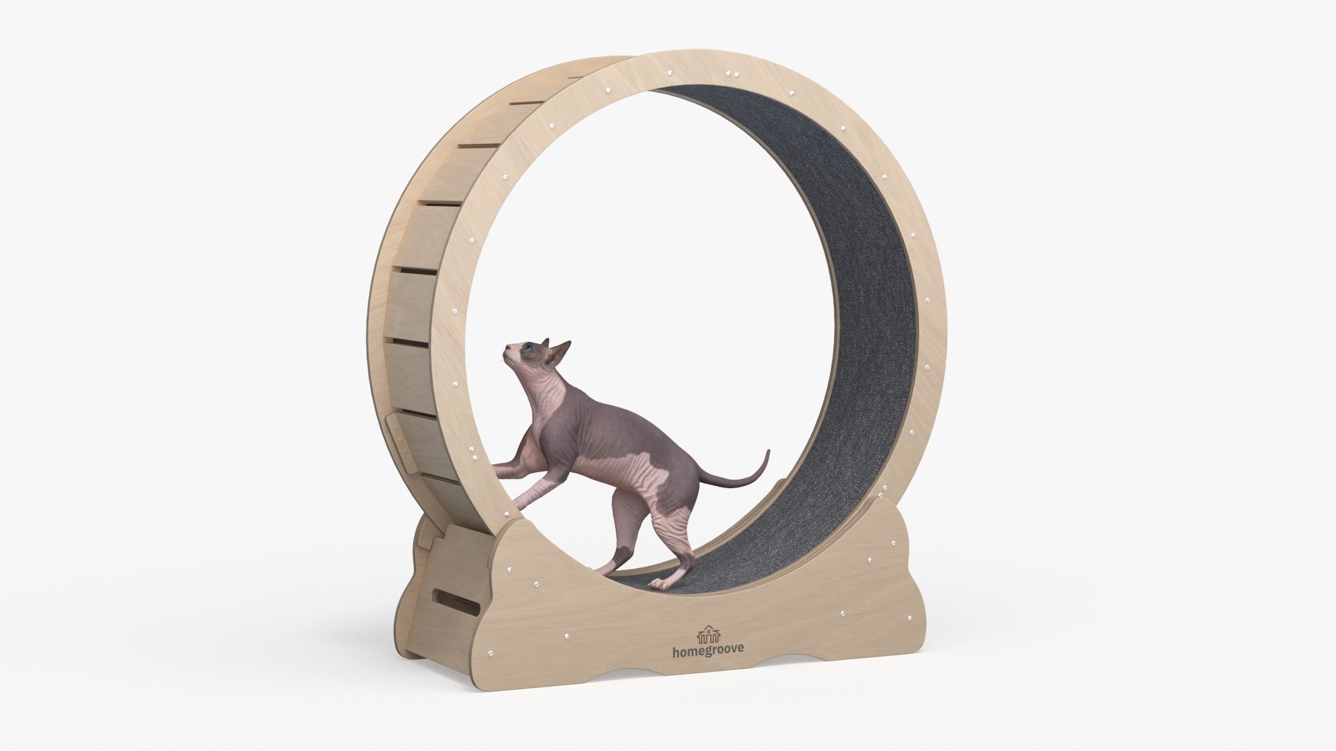Wooden Exercise Wheel by Homegroove for Cat 3D model preview