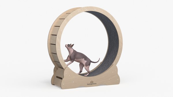 modelo 3d Rueda de ejercicio de madera de Homegroove para gatos ...