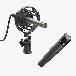 3D 2 Microphons Set model