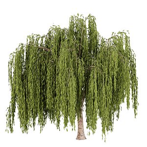 3D willow trees vol 23