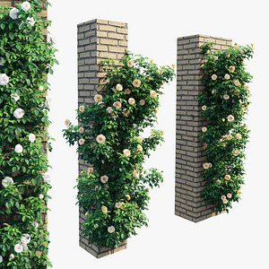 Rose plant set 69 3D model