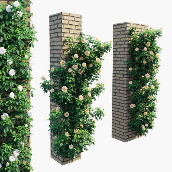 modelo 3d Conjunto de plantas de rosas 69 - TurboSquid 1780119