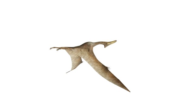 3D Quetzalcoatlus model - TurboSquid 1881865