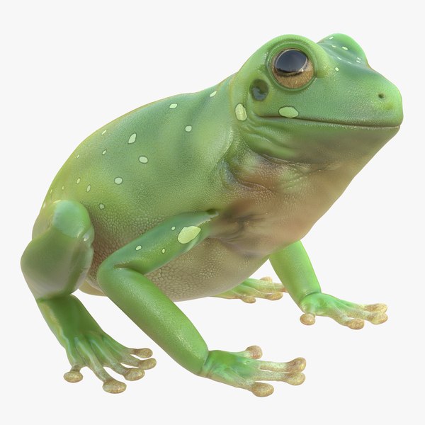 ingeborgpape010