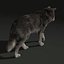 Wolf 2 FUR ANIMATED