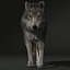 Wolf 2 FUR ANIMATED